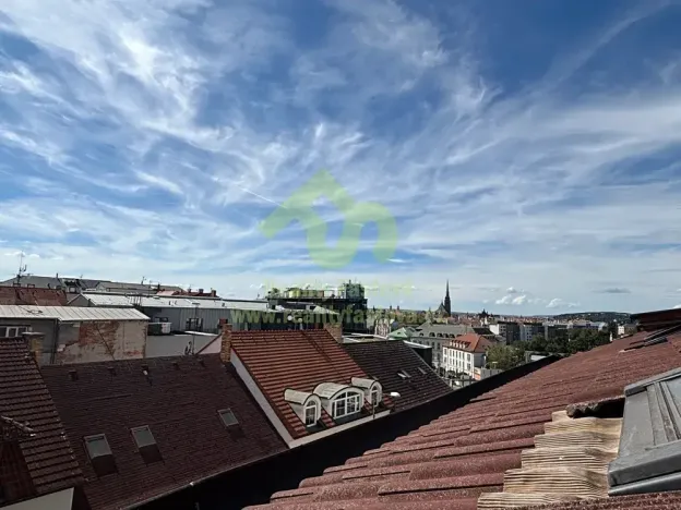 Prodej vícegeneračního domu, Plzeň, 776 m2