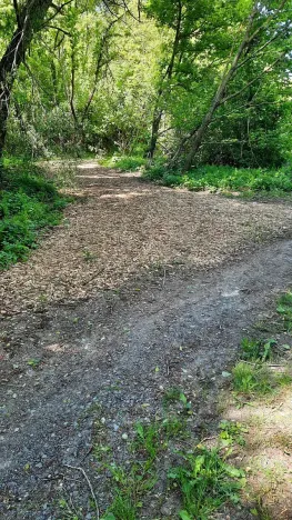 Prodej rybníku, Bulhary, 350 m2