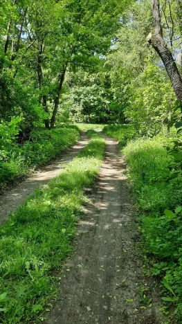 Prodej rybníku, Bulhary, 350 m2