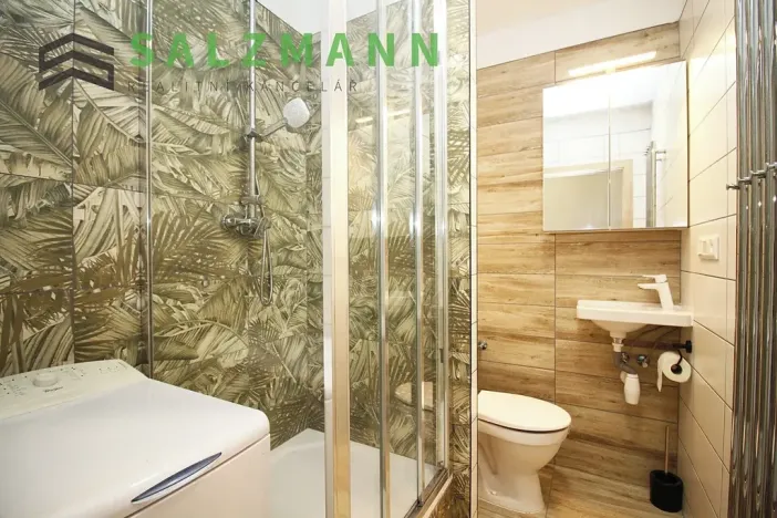 Pronájem bytu 1+kk, Dolní Bělá, 2 m2