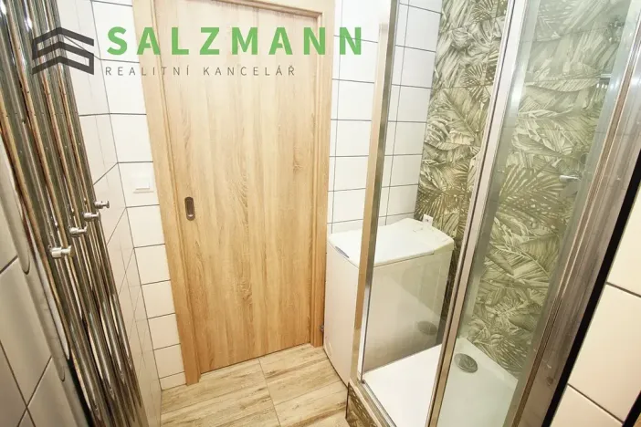 Pronájem bytu 1+kk, Dolní Bělá, 2 m2