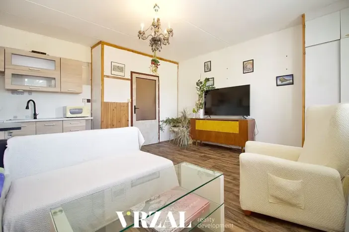 Pronájem bytu 1+kk, Plzeň, Ledecká, 39 m2