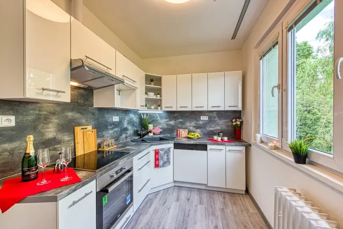 Pronájem bytu 2+1, Chomutov, Blatenská, 52 m2