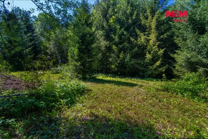 Prodej rodinného domu, Smržovka, Hlavní, 160 m2