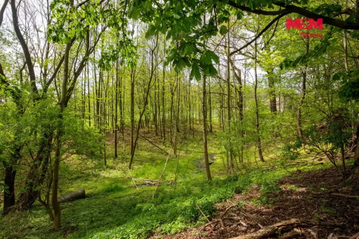 Prodej pozemku pro bydlení, Šenov, 6241 m2