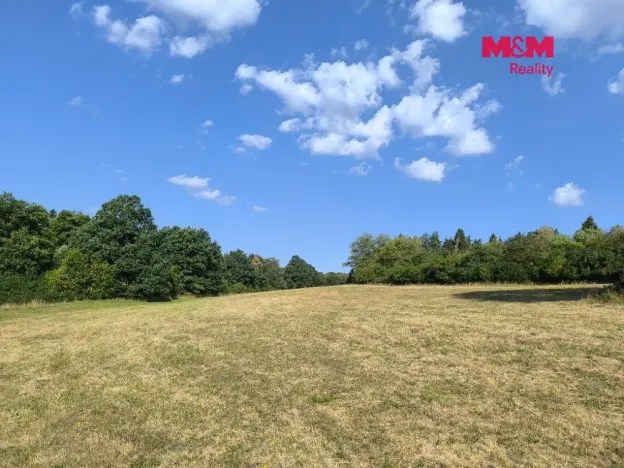 Prodej louky, Hoslovice, 33748 m2