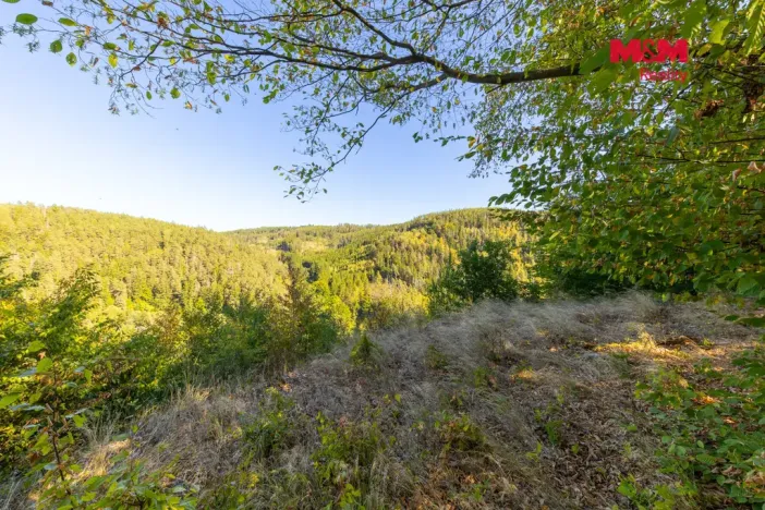 Prodej lesa, Lomnice, 7450 m2