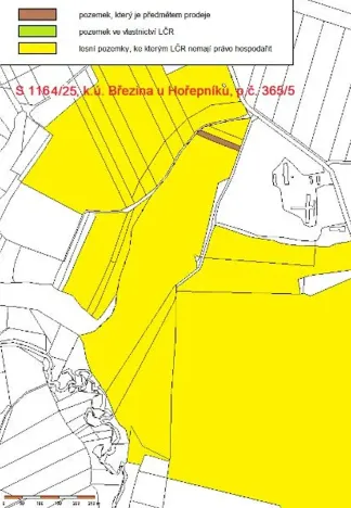 Prodej lesa, Hořepník, 21060 m2