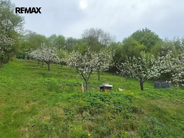 Prodej chalupy, Březová nad Svitavou, Zářečí, 100 m2