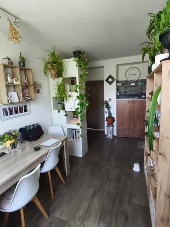 Prodej bytu 3+kk, Turkovice, 71 m2