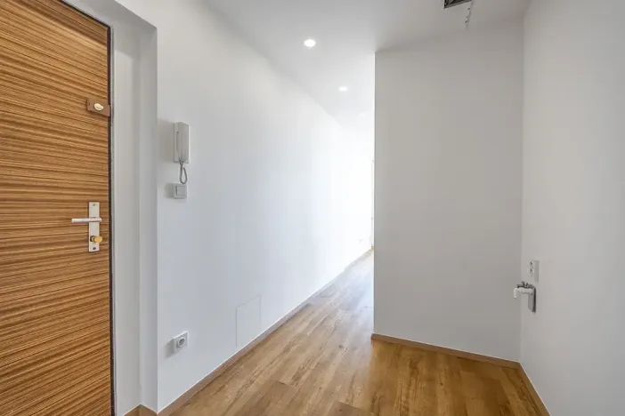 Prodej bytu 2+kk, Praha - Karlín, Nekvasilova, 42 m2