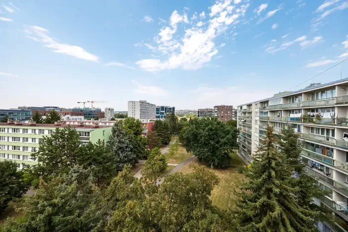 Prodej bytu 2+kk, Praha - Karlín, Nekvasilova, 42 m2