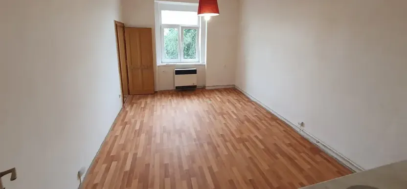 Pronájem bytu 1+kk, Praha - Žižkov, Hartigova, 30 m2