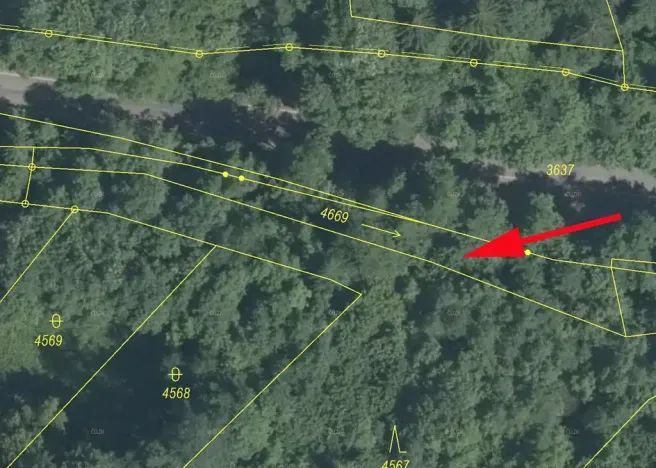Prodej lesa, Železný Brod, 437 m2