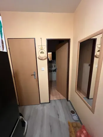 Pronájem bytu 2+1, Brno, Cejl, 45 m2