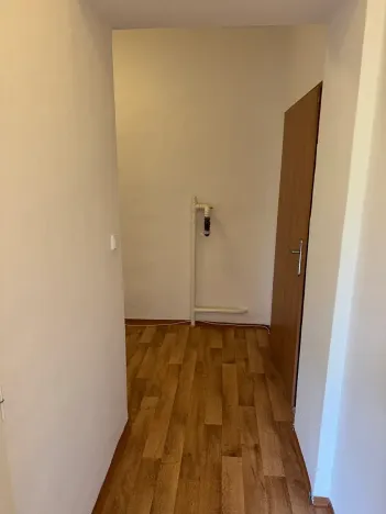 Prodej bytu 1+1, Brno, Dobrovského, 40 m2