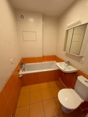 Prodej bytu 1+1, Brno, Dobrovského, 40 m2