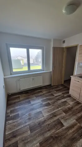 Pronájem bytu 1+1, Dubí, Lípová, 40 m2