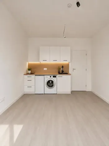 Pronájem bytu 1+kk, Brno, Svitavská, 26 m2