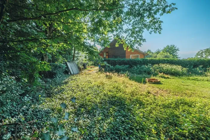 Prodej zahrady, Běstvina, 338 m2