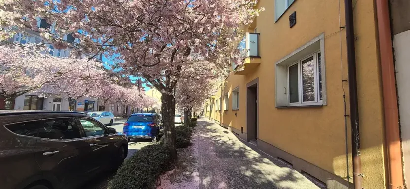 Prodej bytu 2+1, Turnov, Nádražní, 56 m2