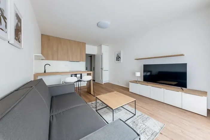 Pronájem bytu 1+kk, Praha - Karlín, Pernerova, 30 m2