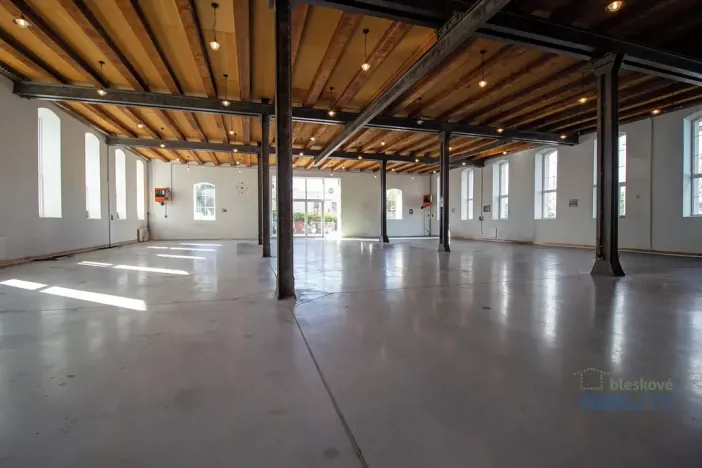 Pronájem výrobních prostor, Brandýs nad Labem-Stará Boleslav, 626 m2