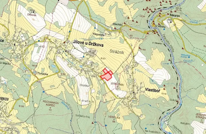 Prodej louky, Jílové u Držkova, 7808 m2