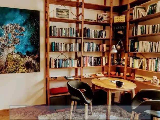 Pronájem bytu 1+1, Praha - Staré Město, 30 m2