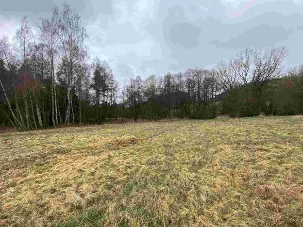Prodej pole, Vyšší Brod - Hrudkov, 8071 m2