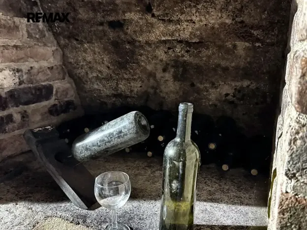Prodej vinného sklepa, Novosedly, 49 m2