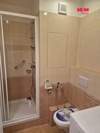 Pronájem bytu 1+1, Děčín - Děčín II-Nové Město, Dvořákova, 40 m2
