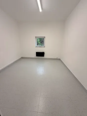 Prodej obchodního prostoru, Kralice na Hané, 630 m2
