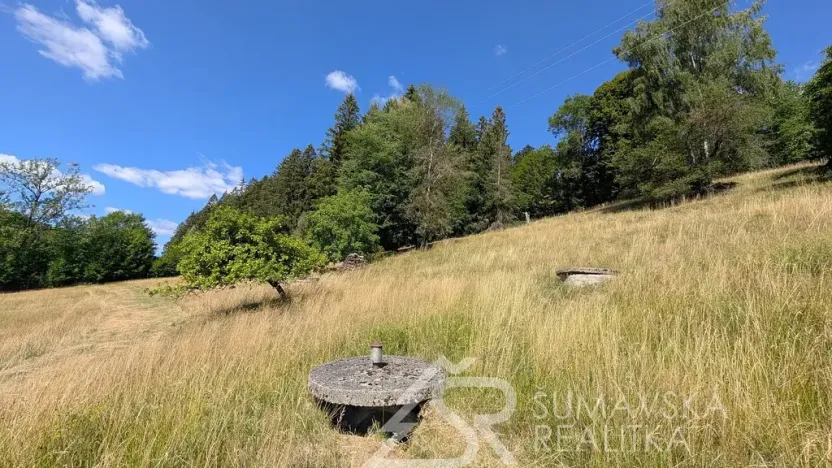 Prodej pozemku, Petrovice u Sušice - Pařezí, 4773 m2