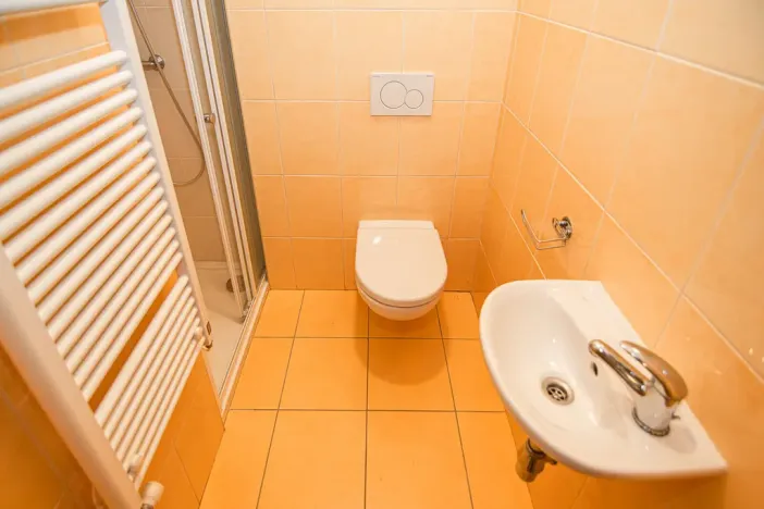 Prodej rodinného domu, Mnichovo Hradiště, K Vořechu, 163 m2