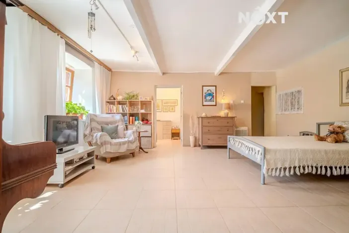 Prodej vícegeneračního domu, Lhenice, Netolická, 335 m2