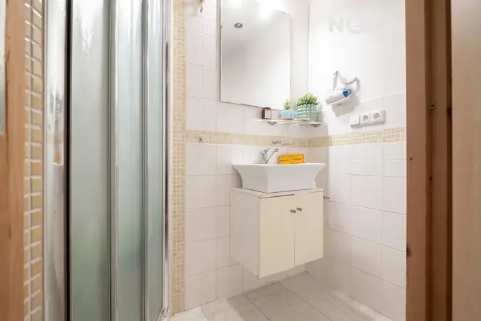 Prodej vícegeneračního domu, Lhenice, Netolická, 335 m2