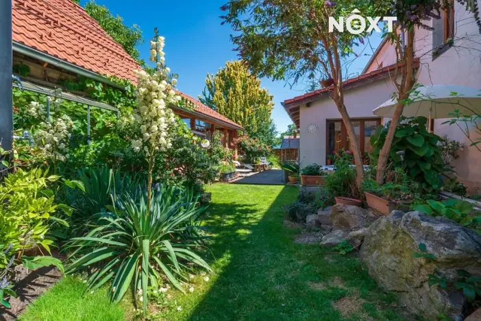 Prodej vícegeneračního domu, Lhenice, Netolická, 335 m2