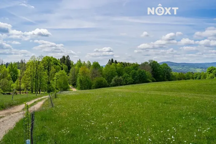 Prodej pozemku, Přídolí, 18124 m2