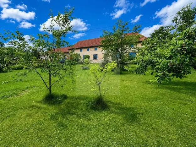 Prodej rodinného domu, Lipovec, 4500 m2