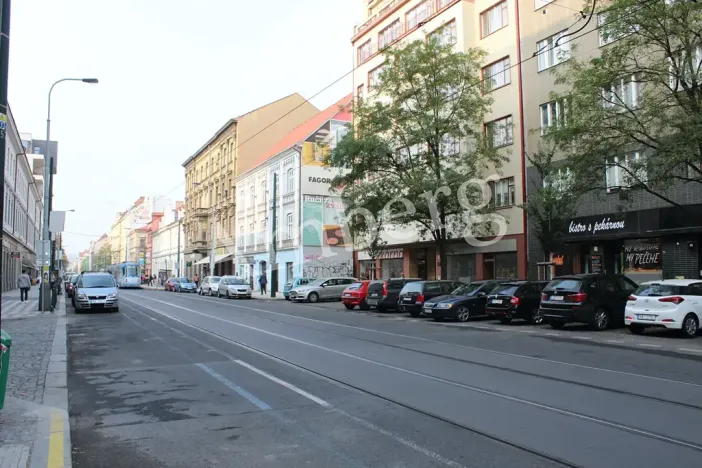 Pronájem garážového stání, Praha - Karlín, Sokolovská, 14 m2