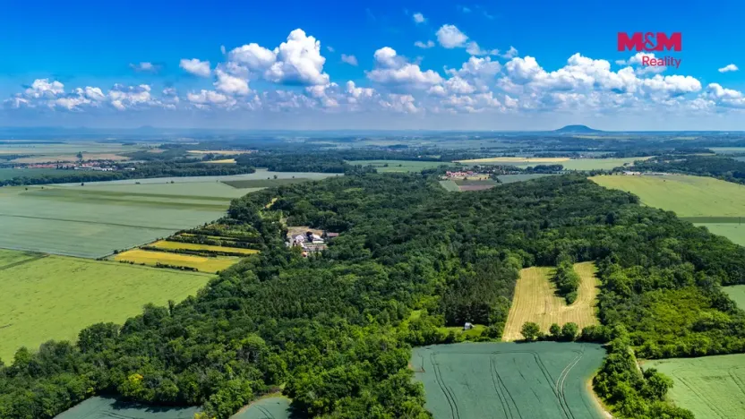 Prodej lesa, Libochovice - Poplze, 49399 m2