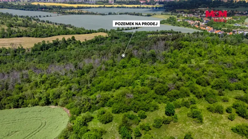 Prodej lesa, Libochovice - Poplze, 49399 m2