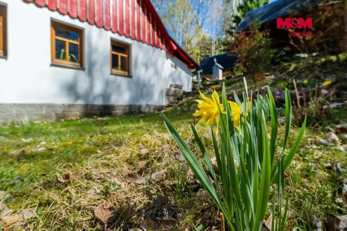 Prodej chalupy, Tanvald - Šumburk nad Desnou, 118 m2