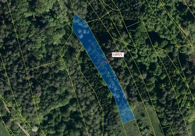 Dražba lesa, Ludkovice, 2302 m2