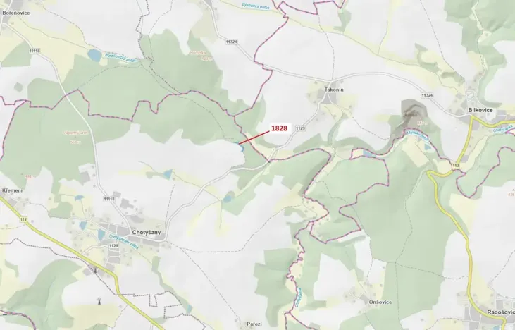 Dražba lesa, Chotýšany, 1841 m2