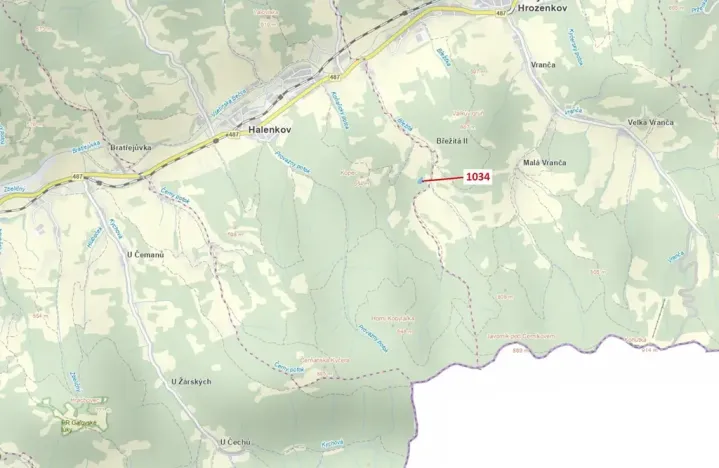 Dražba lesa, Halenkov, 4417 m2