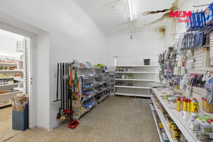 Prodej rodinného domu, Lužná, Čsl. armády, 280 m2