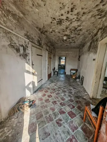 Prodej chalupy, Zaječice, 299 m2