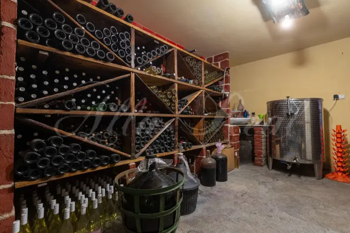 Prodej rodinného domu, Modřice, Brněnská, 371 m2